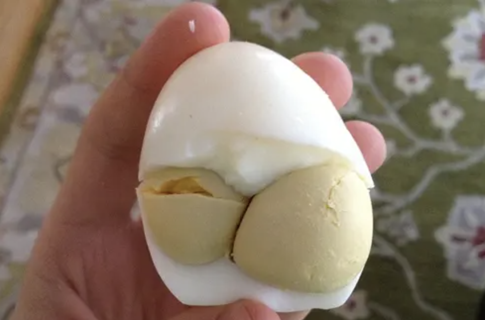 Kasztanowiec zwyczajny